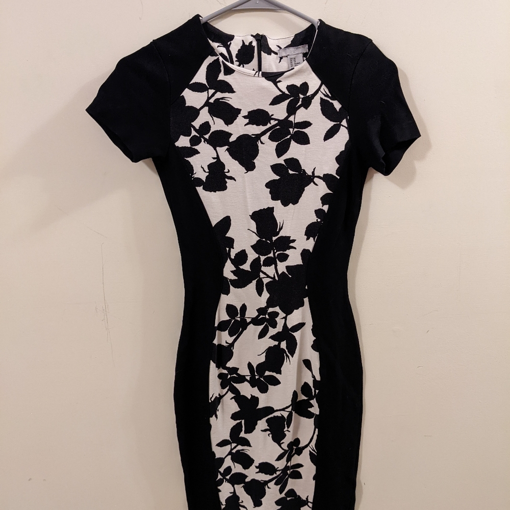 H&M Fitted Dress